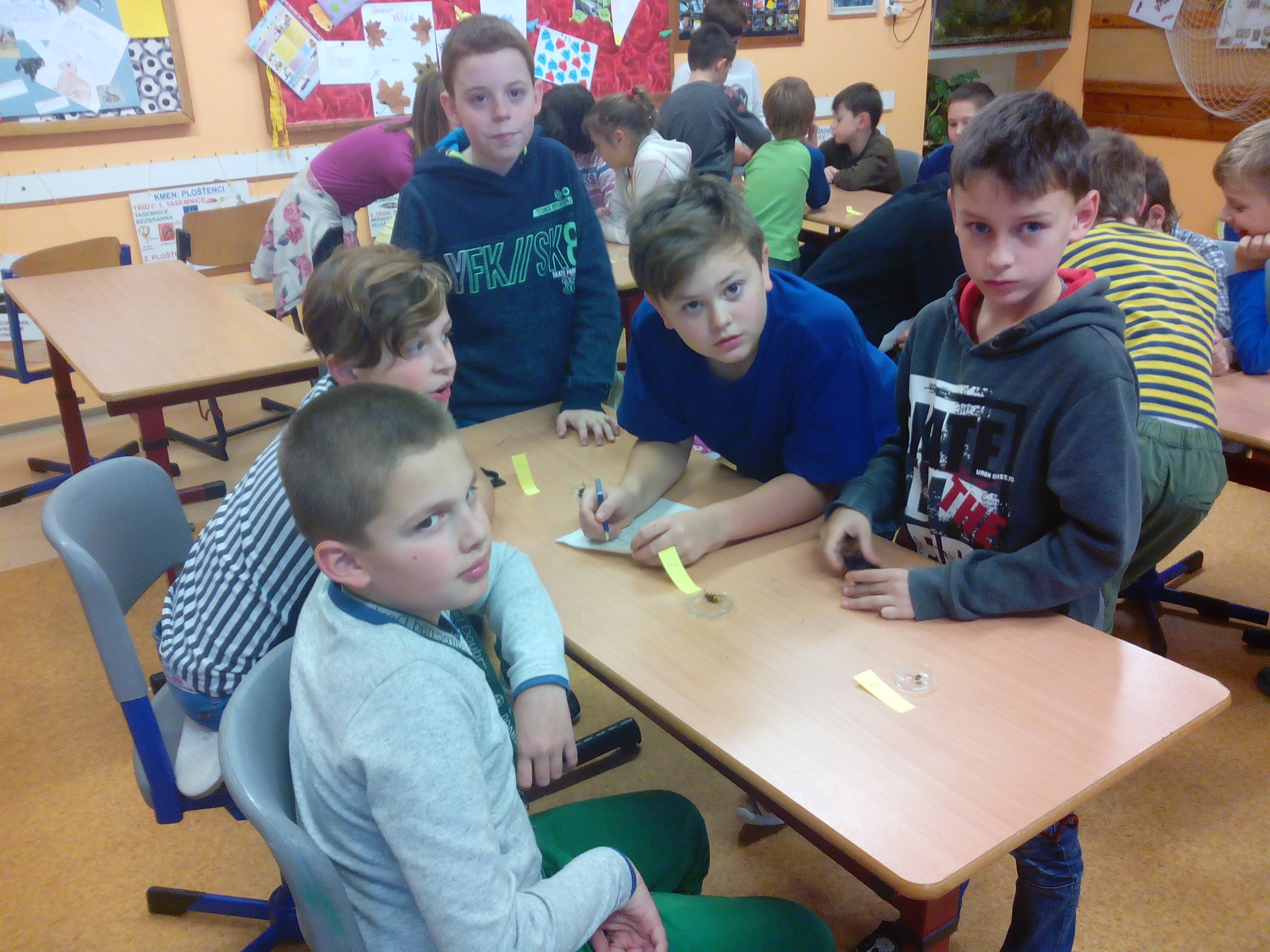 ilustrace